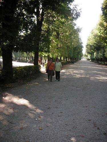 wien 2007 048
